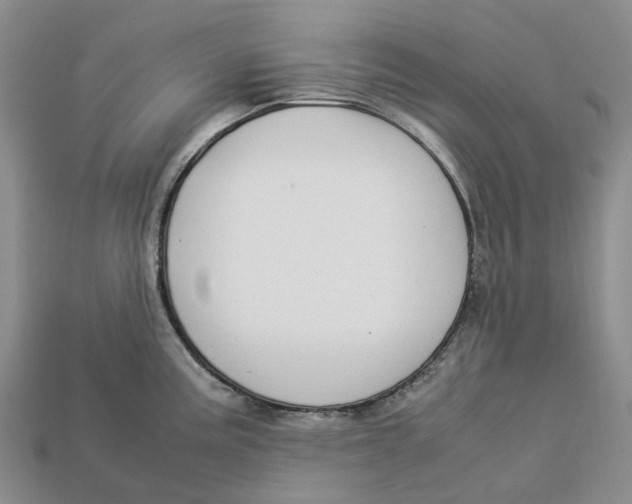 X0000112951195200909211148