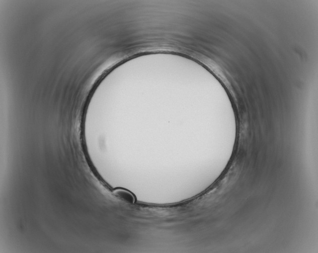 X0000112951197200909211148