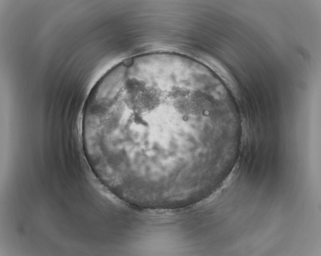 X0000112951198200909211148