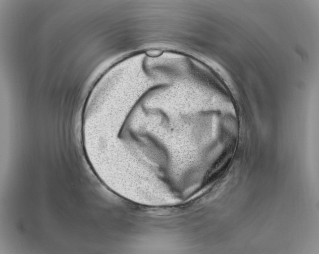 X0000112951199200909211148