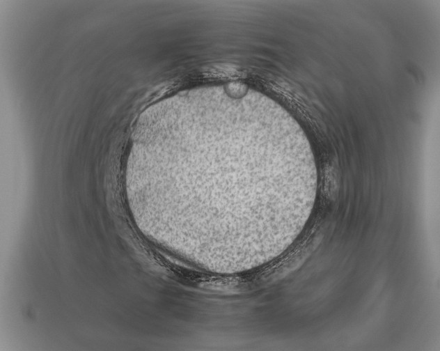 X0000112951201200909211147