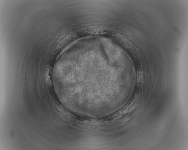 X0000112951202200909211147