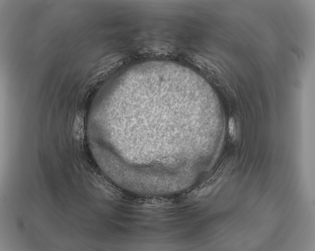 X0000112951203200909211147