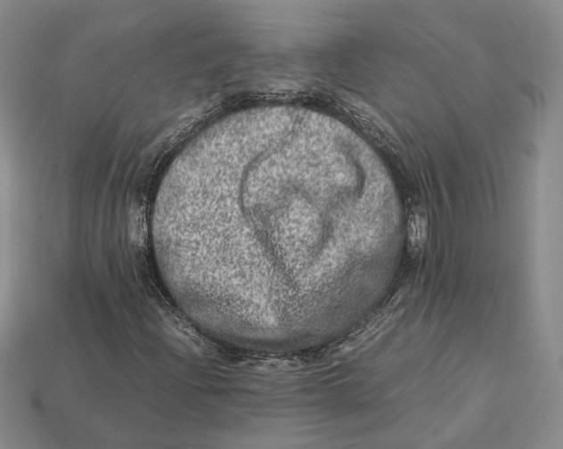 X0000112951204200909211147