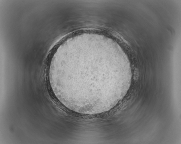 X0000112951208200909211147