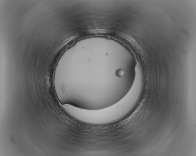 X0000112951209200909211147