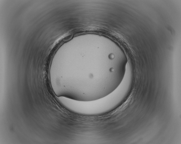 X0000112951210200909211147