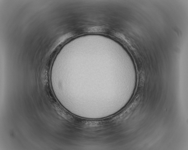 X0000112951211200909211147