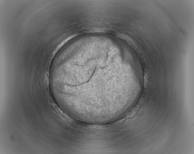 X0000112951212200909211147