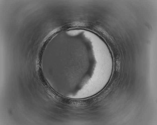 X0000112951213200909211147