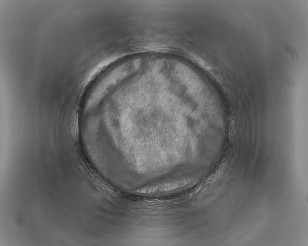 X0000112951214200909211147