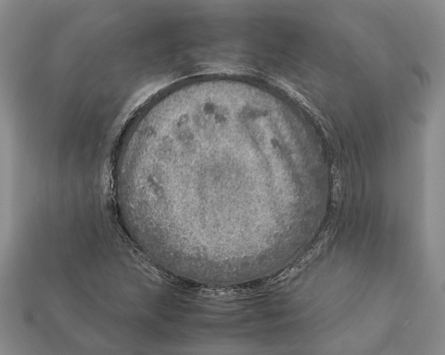 X0000112951215200909211147