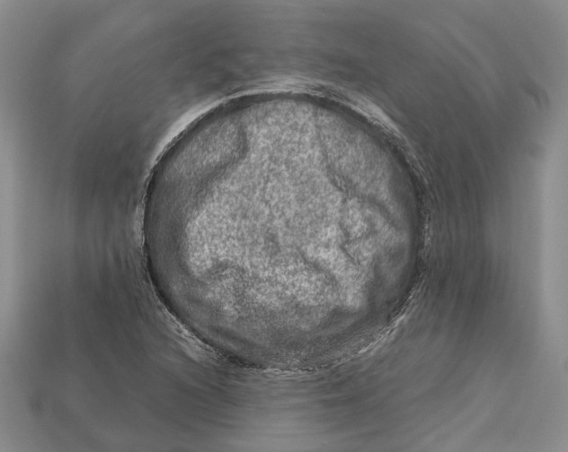 X0000112951216200909211147