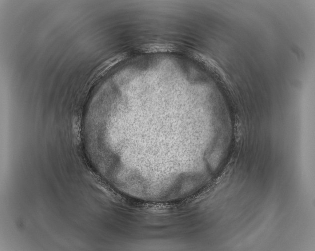 X0000112951217200909211147