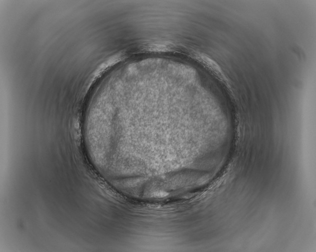 X0000112951218200909211147