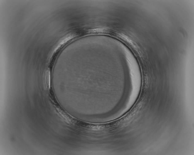 X0000112951219200909211147