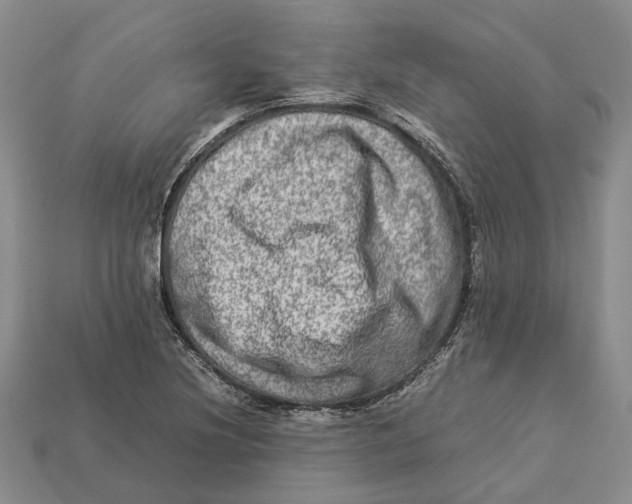 X0000112951220200909211147