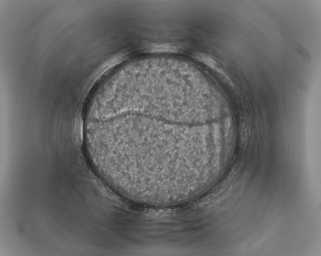 X0000112951221200909211147