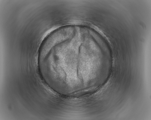 X0000112951222200909211147