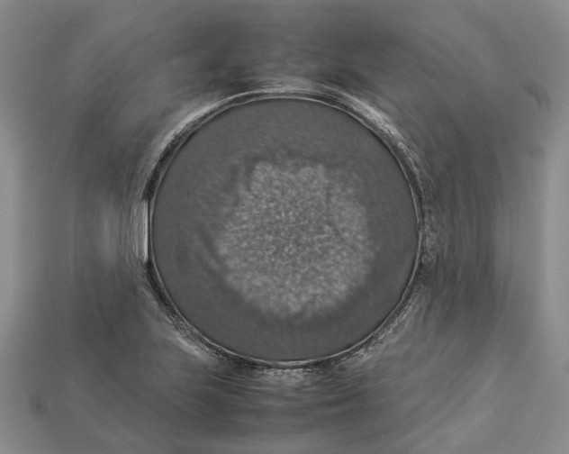 X0000112951223200909211147