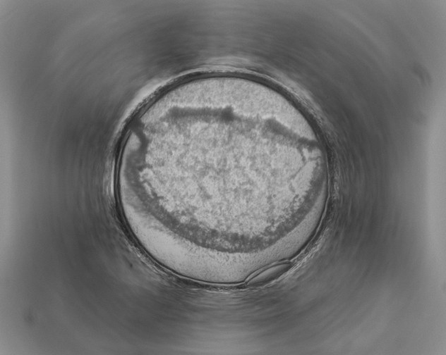 X0000112951224200909211147