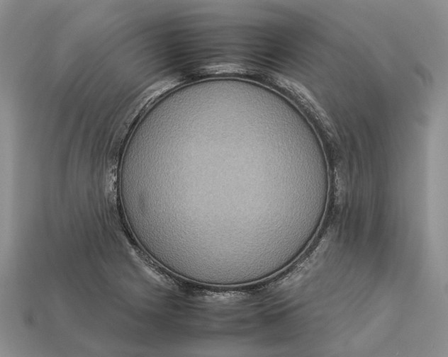 X0000112951225200909211147