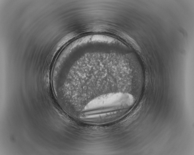 X0000112951226200909211147