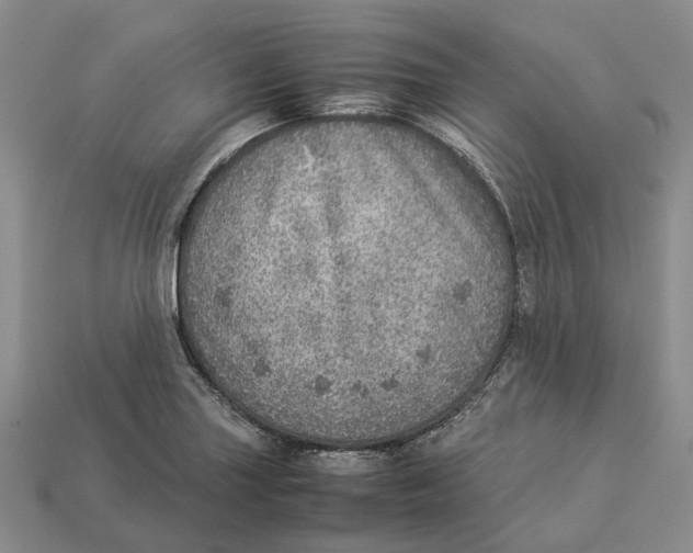 X0000112951227200909211147