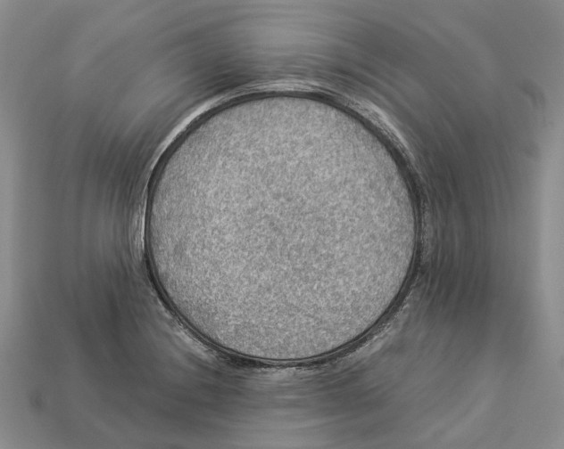 X0000112951228200909211147