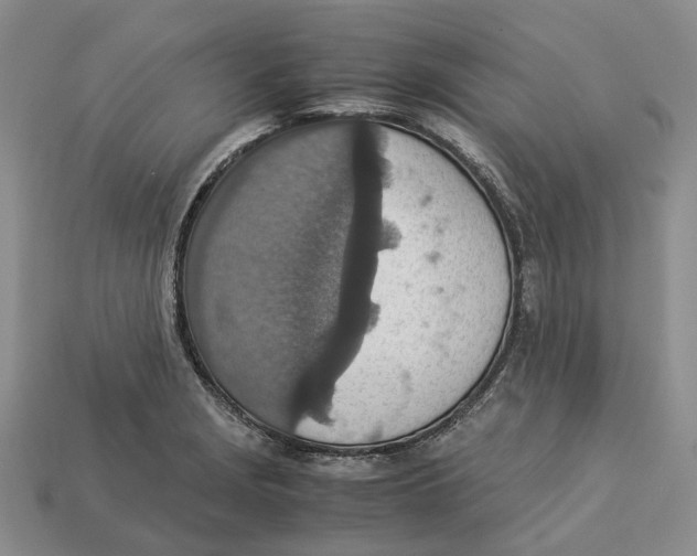 X0000112951229200909211147