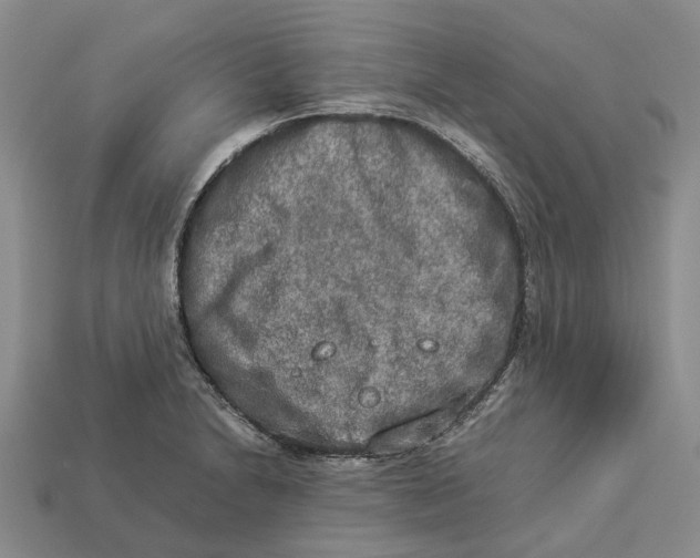 X0000112951230200909211147