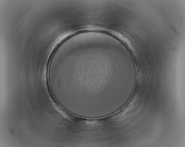 X0000112951231200909211147