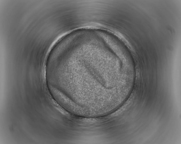 X0000112951232200909211148