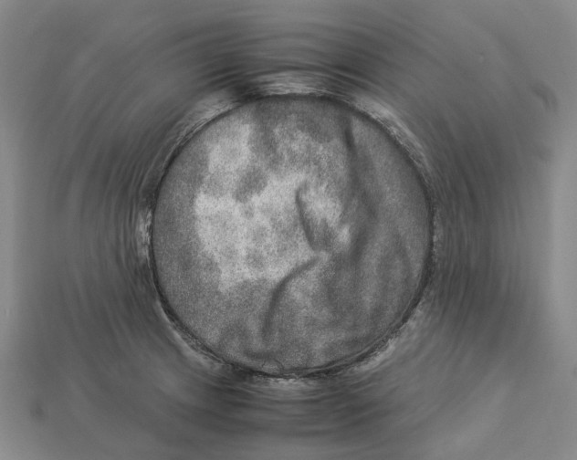 X0000112951233200909211148