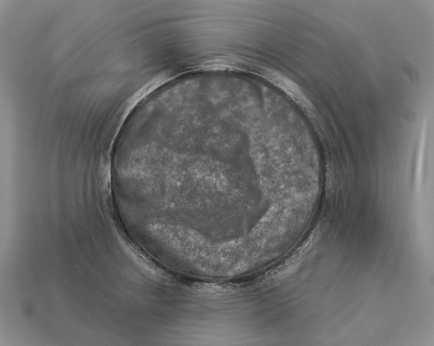 X0000112951234200909211148