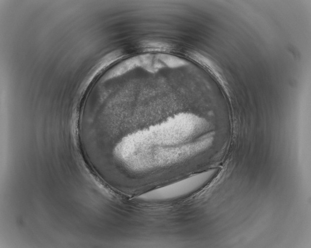 X0000112951235200909211148