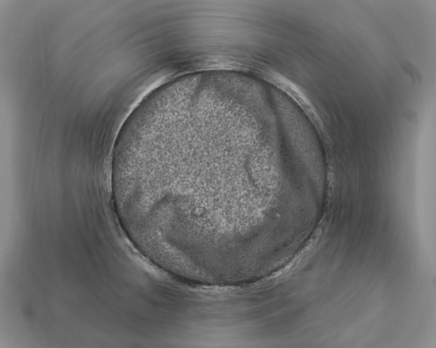 X0000112951236200909211148