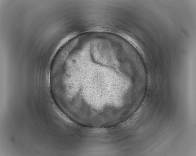 X0000112951238200909211148