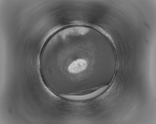 X0000112951239200909211148