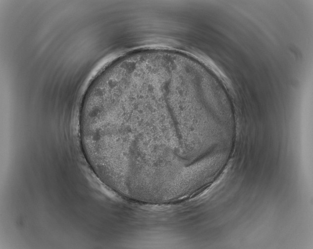 X0000112951240200909211148