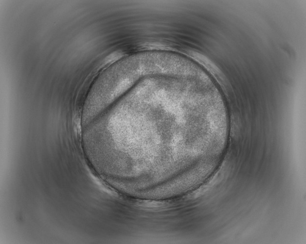 X0000112951241200909211148