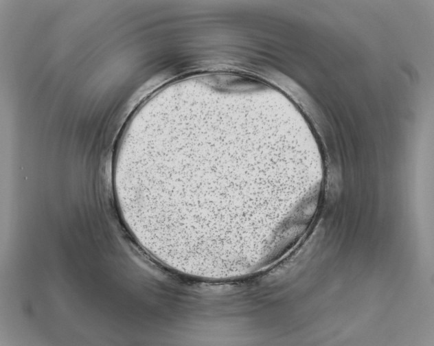 X0000112951242200909211148