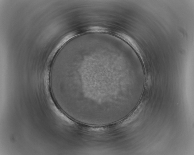 X0000112951243200909211148