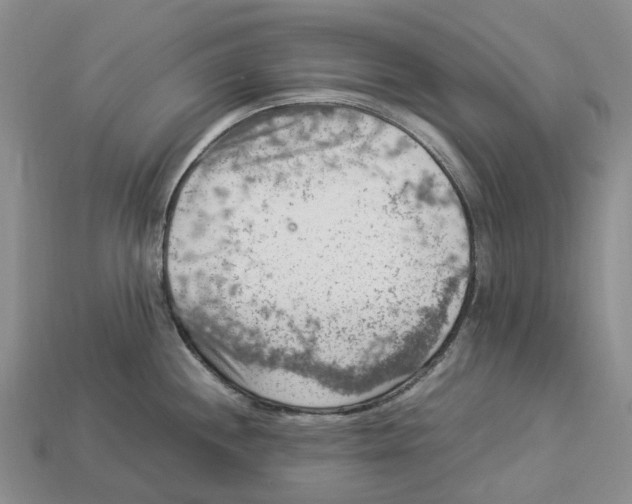 X0000112951244200909211148