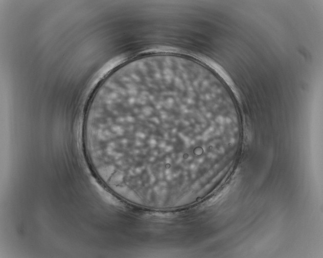 X0000112951245200909211148