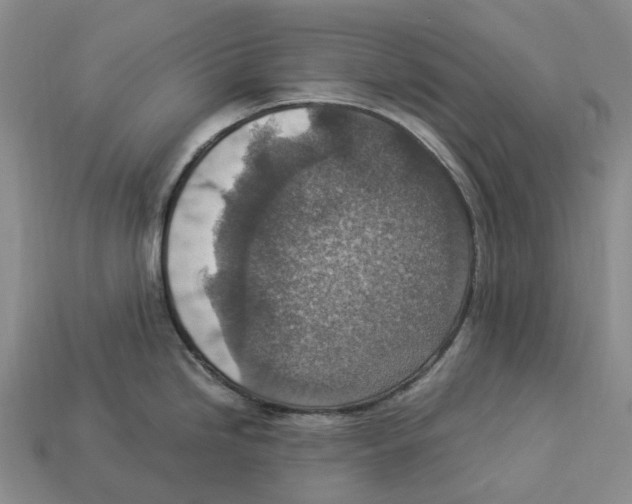 X0000112951246200909211148