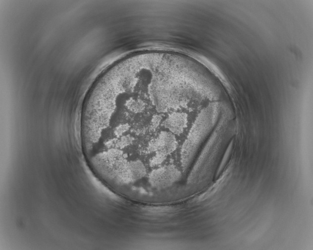 X0000112951247200909211148