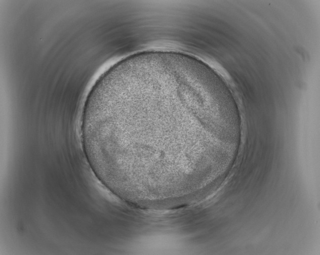 X0000112951248200909211148