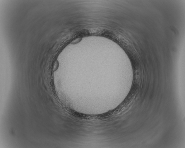 X0000112951249200909211147