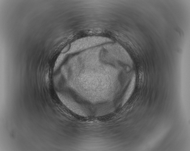 X0000112951250200909211147